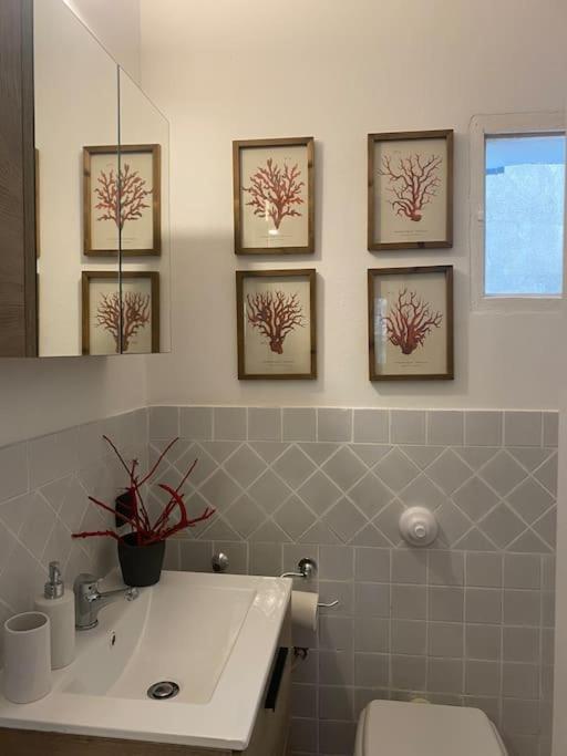 Casa Vacanza Al Duomo: เชฟาลู ภายนอก รูปภาพ